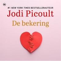 De bekering - thumbnail