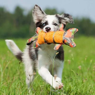 Hondenspeelgoed Tiger Hondenspeelgoed Tiger