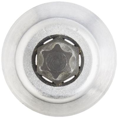 Stahlwille Dopsleutelbit | 1/2 inch TX | T40 | lengte 55 mm | 1 stuk - 03100040 03100040 Stahlwille Dopsleutelbit | 1/2 inch TX | T40 | lengte 55 mm | 1 stuk - 03100040 03100040