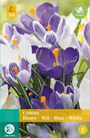 Crocus blauw / wit mix 10 bollen - thumbnail