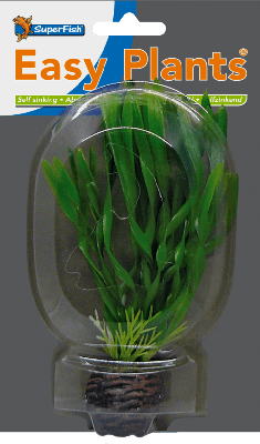 Easy plants small13cm nr. 6