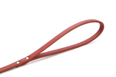 Hondenriem van leer 100cm x 10mm rood