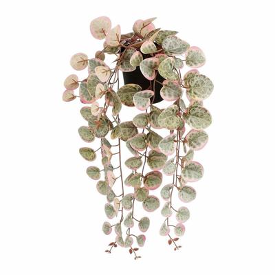Decoratieve plant Mica Decorations Ceropegia Woodii 10 x 46 x 12 cm Kunstmatig Om op te hangen