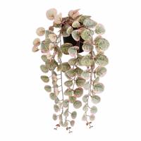 Decoratieve plant Mica Decorations Ceropegia Woodii 10 x 46 x 12 cm Kunstmatig Om op te hangen - thumbnail