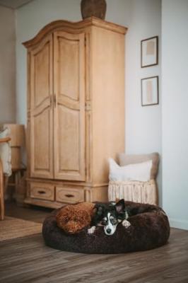 Hondenbed Hunter Antraciet 60 x 40 cm Hondenbed Hunter Antraciet 60 x 40 cm