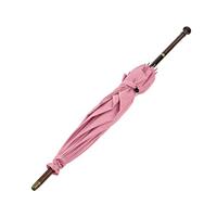 Noble Collection Harry Potter: Rubeus Hagrid's Umbrella Wand decoratie - thumbnail