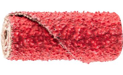 PFERD TOOLS PR 1225 CO-COOL 60 42811246 Schuurpapierrol Korrelgrootte (num) 60 (Ø x h) 12 mm x 25 mm 50 stuk(s)