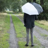 Esschert Design paraplu Panda 96,5 x 67,5 cm zijde/ABS zwart - thumbnail