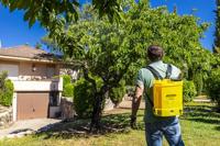 Tuindrukspuit Garland 50a-0024 Batterij 12,6 v 12 L - thumbnail