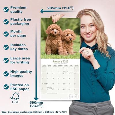Poodle Calendar 2026 Square Dog Breed Wall Calendar - 16 Month