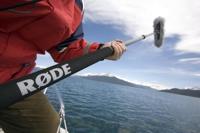 Rode Mini Boompole zwart - thumbnail