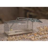 Rattenkooi draadmodel - thumbnail