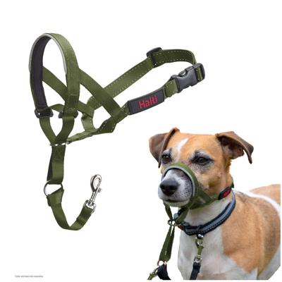 Muilkorf Company of Animals FOREST Groen 3