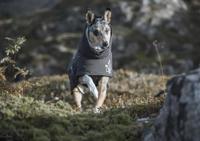 Hurtta Extreme warme hondenjas, winterjas voor honden, BlackBerry donkergrijs 60 cm - thumbnail