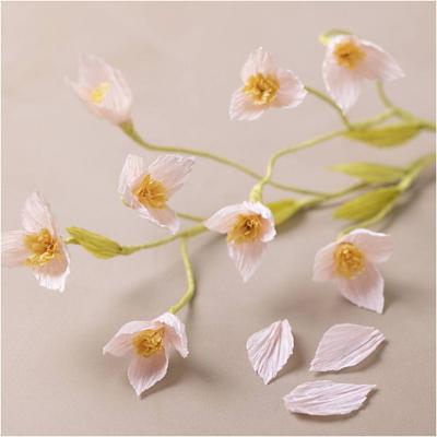 Creativ Company Mini hobbyset crêpepapier, kersentak, crêpe-verhouding: 180%, 1 doos Creativ Company Mini hobbyset crêpepapier, kersentak, crêpe-verhouding: 180%, 1 doos