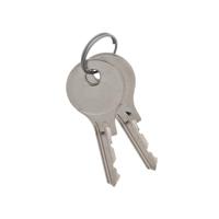 P&E P+E sleutel voor espagnolet (set van 2 stuks) - thumbnail