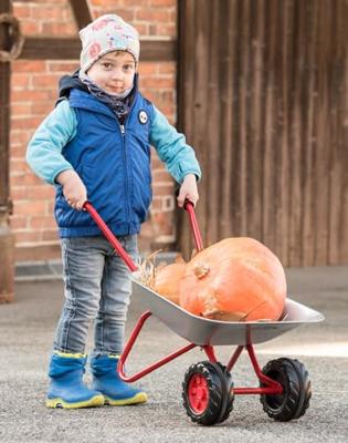 Rolly Toys Kruiwagen metaal dubbelwiel grijs/rood
