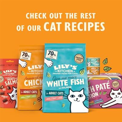 LILY'S KITCHEN CAT ORGANIC FISH PATE - thumbnail