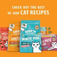 LILY'S KITCHEN CAT ORGANIC FISH PATE - thumbnail