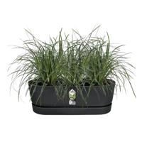 Elho greenville easy balcony 52 cm Living black - thumbnail
