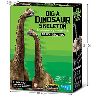 4M - kidzLabs - uitgraven - brachiosaurus