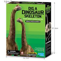 4M - kidzLabs - uitgraven - brachiosaurus - thumbnail