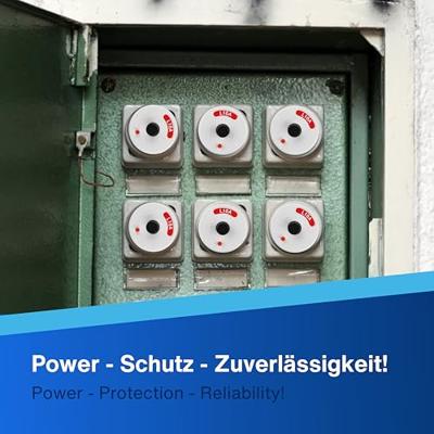 REV 0505130555 Neozed zekering Met mechanische beveiligingsweergave 1-polig 10 A 250 V, 380 V