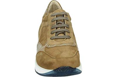 Verhulst 1334 K - alle