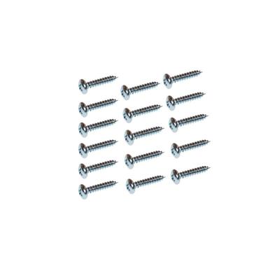 Set stalen schroeven verzinkt rond ø 0,4 cm en lengte 2 cm - 16 stuks