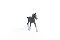 Schleich horse club trakehner veulen 13944 - thumbnail