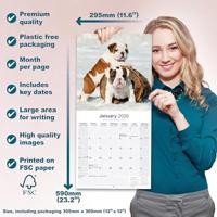 Engelse Bulldog Kalender 2026 - thumbnail
