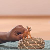 Schleich wild life caracalwelpje 14868 - thumbnail