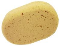 Aqualine ovalen spons ft 20 x 14 x 7 cm - thumbnail