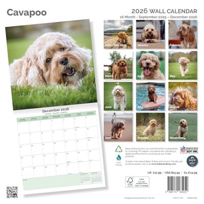 Cavapoo Kalender 2026 Cavapoo Kalender 2026