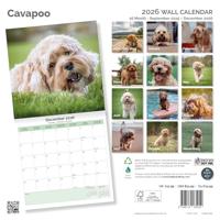 Cavapoo Kalender 2026 - thumbnail