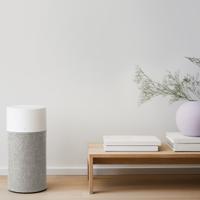 Blueair Prefilter hoes voor Blue 3210 - Winter Reed luchtfilter - thumbnail