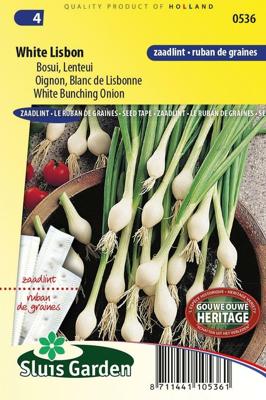 Ui White Lisbon zaailint