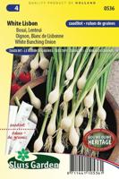 Ui White Lisbon zaailint - thumbnail