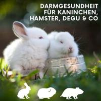 Lax Groente puree voor konijnen - thumbnail