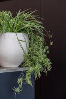 Pottery Pots Bloempot Mini Orb Grey washed-Bruin D 39 cm H 35 cm - thumbnail