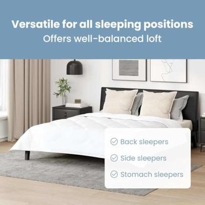 VidaXL Hoofdkussen met kussen 2 pcs wit 61 x 41 x 20 cm polyester