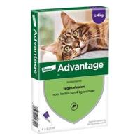 Advantage Kat 80 - thumbnail