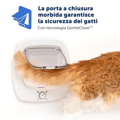 Petsafe adapter kattenluik grote kat voor glas