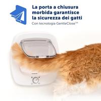Petsafe adapter kattenluik grote kat voor glas - thumbnail