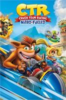 Crash Team Racing Nitro-Fueled - thumbnail