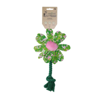Garden Paws Flower Summer Shrubs S - thumbnail