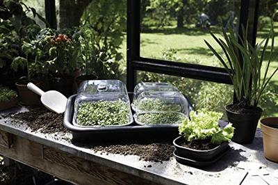 Elho green basics kweektray medium living black
