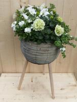 Rieten plantenbak grijs op poten met zomerbloeiers wit h55 cm Warentuin Natuurlijk - Warentuin natuurlijk - thumbnail