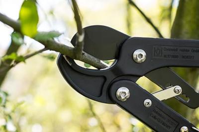 Meister Takkenschaar Klein Met Ratel - WU9718000