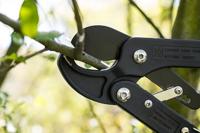 Meister Takkenschaar Klein Met Ratel - WU9718000 - thumbnail